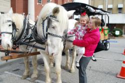 Carriage Rides for everyone to enjoy!!